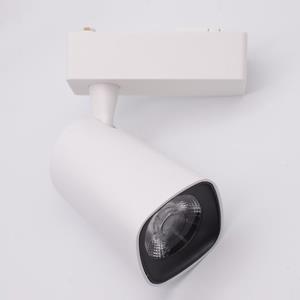 20W TRACK LIGHT LH-TL133020