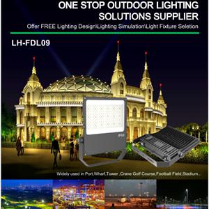 LED Flood Light LH-FDL 09